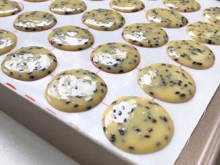 7、黑芝麻薄脆饼,也可以挤入这种硅胶垫