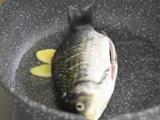 3、这碗汤健脾、清热、益气养血，产妇最应该多吃！,热锅冷油，放入姜片划炒，再放入鲫鱼