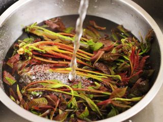 2、磷虾香椿翠玉饺子????【宝宝辅食】,用自来水冲洗香椿