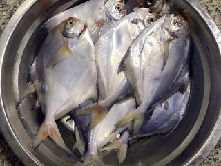 1、清蒸鲳鱼,新鲜的鲳鱼摘除内脏洗净沥干水份备用