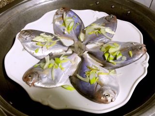 4、清蒸鲳鱼,腌制入味的鲳鱼放入蒸锅中大火蒸制开锅再蒸8分钟
