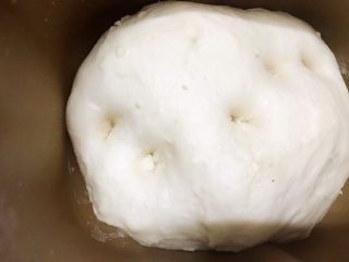 6、酒酿饼,一发至二倍大