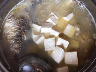 13、鲫鱼豆腐汤,放入汤中一起煲煮至汤水发白