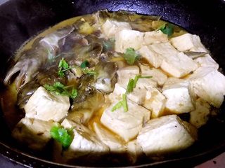 8、鲶鱼炖豆腐,炖制汤汁不多时放入味精调味提鲜最后撒上香菜即可出锅享用