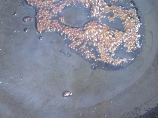 8、#芦笋排骨#(创建于30/4~2017),炒糖色,起锅注植物油,加热后放入冰糖,小火慢炒,炒成起小泡。