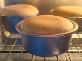 10、网红便当盒子蛋糕,放入烤箱中层，上下火160度烤35分钟到40分钟即可。每个人的烤箱温度和体积不同，根据自己的烤箱观察温度。烤好了晾凉备用。