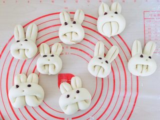 13、小白兔馒头,一窝小白兔出来啦！