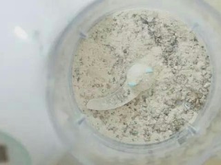 6、快手小馄饨,香菇丁和虾皮一起放入辅食机中搅拌细腻。