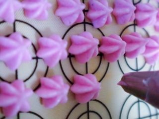 17、宝宝零食之火龙果溶豆,挤出花型，我用的是六嘴，八嘴也可以