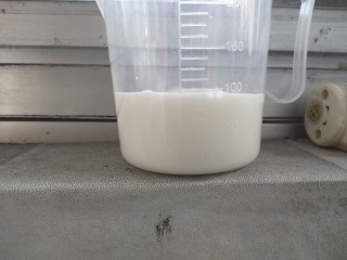 11、葡式蛋挞,往面粉中倒入三分之一的牛奶，搅拌成糊