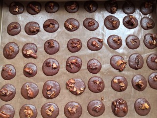 14、碧根果可可脆,晾凉后密封保存（口感不脆就是没烤透回炉低温烘烤，口感苦就是烤过了）