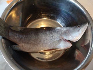 1、清蒸盲曹鱼,鱼去鳞洗净。