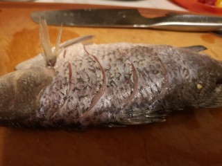2、清蒸盲曹鱼,鱼的两侧斜切。