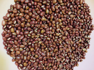 6、山药红豆糕,红豆300克