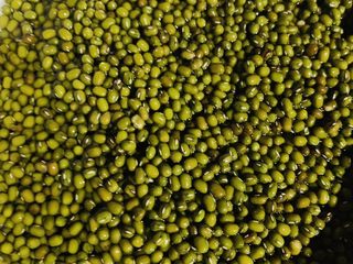 2、自制绿豆沙馅料(不去皮版本),加入水淘洗一遍。