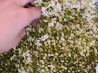 9、自制绿豆沙馅料(不去皮版本),最后加满水,轻轻搅拌。