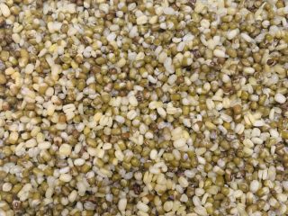 13、自制绿豆沙馅料(不去皮版本),用手指轻轻就能搓成粉就可以了。