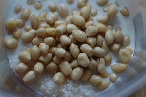 4、牛奶花生浆,将花生、大米、牛奶和清水一同倒入豆浆机，搅打成花生浆。