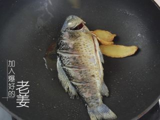 4、鲫鱼豆腐汤，艾佳人月子餐第二周食谱,放入爆好的老姜