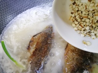 12、冬瓜鲫鱼汤,加泡好的薏仁米。