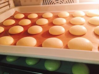 8、网红芝麻海苔小贝,然后装入裱花袋挤成圆形的蛋糕胚，放入烤箱上下火165度烤15分钟拿出