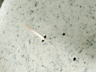 13、补钙的黑芝麻蛋糕,最后判断有没有烤熟的方法就是用牙签扎进去,没的其它东西带出来就行了。