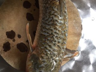 1、红烧鲻鱼,鲻鱼杀掉去除内脏