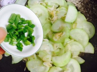 20、家常菜+蒲瓜炒虾皮,出锅前放入葱花