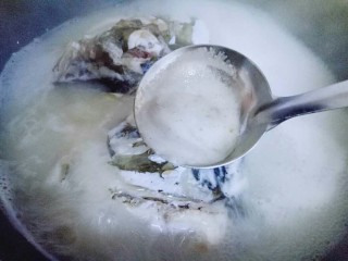 11、#一碗汤##秋季补钙佳品#鱼头粉皮汤,大火烧开后，用汤勺撇出浮沫，继续大火10分钟。