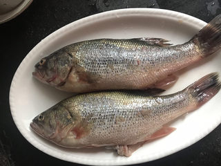 1、清蒸鲈鱼,准备好两条鲈鱼