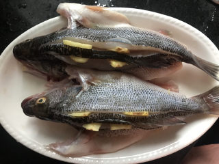 9、清蒸鲈鱼,把鱼放在上面，背部也塞进姜片