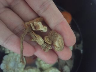 10、胡萝卜玉米排骨汤,沙参，生姜，盐，最后盖上锅盖，加热40分钟
