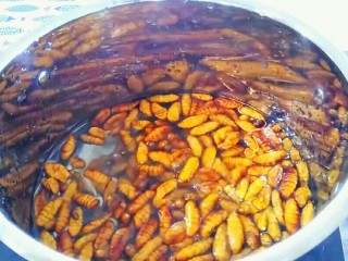 3、韭香蚕蛹,蚕蛹冷水下锅,水沸后,焯水二十秒。