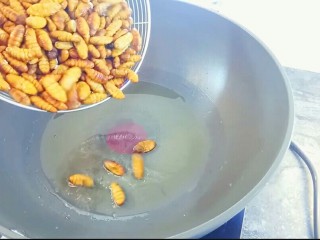 5、韭香蚕蛹,热锅起油,放入沥好水的蚕蛹,煸炒一会。