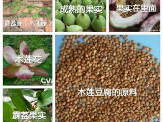 6、木莲豆腐（家乡美食）,这是木莲豆腐的原料