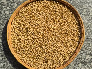 1、纯手工豆腐皮,首先准备好干黄豆10斤。