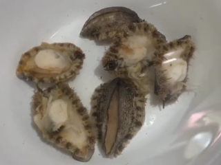 3、清蒸鲍鱼,然后鲍鱼再入清水中洗净一遍，去除黏液等。