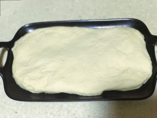 8、浅湘食光&牛奶油条,面揉好，稍微拉长放入容器