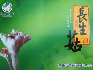 7、長生菇排骨滋补汤,具体了解可加微信630051332