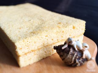 19、奶油裸蛋糕+南瓜味,大小根据需求而定，二片蛋糕要一样大小。