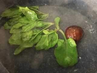 4、辅食计划+虾蓉玉米杂蔬羹,菠菜和香菇放入锅中焯水。
