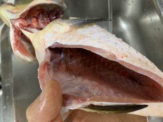 2、鲫鱼萝卜丝汤,回家后还要把鱼腹内的脏污清洗干净