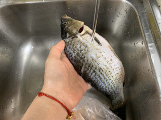 3、鲫鱼萝卜丝汤,鱼鳞没有刮干净的也要刮下来