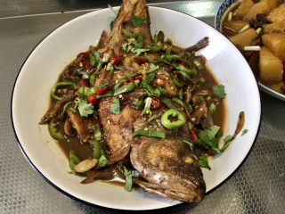 24、红烧鱼,最后撒上香菜即可上桌享用