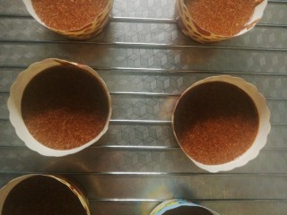 9、浓香巧克力蛋糕,装入蛋糕纸杯或烤盘。表面撒上自己喜欢的巧克力或葡萄干等。