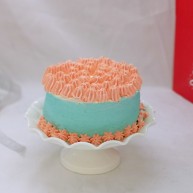 预热圣诞节双色奶油蛋糕