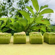 天意弄人永不放弃菠菜布丁蛋糕