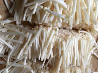 4、番茄金针菇鸡蛋汤,金针菇去根切成小段。