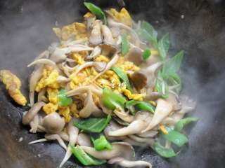 12、平菇青椒炒鸡蛋 好吃又营养的超快手家常菜,倒入调制好的碗汁,大火翻匀收汁,由于加了蚝油,起到了勾薄芡的作用。