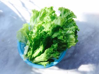 4、蚝油生菜,生菜洗干净沥干水分备用